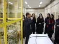  گزارش تصویری بازدید دانش آموزان سال چهارم دوره دوم دبیرستان، از دانشگاه صنعتی شاهرود 